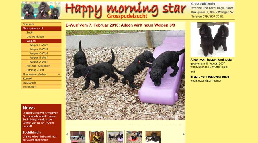 Das ist das Layout von einer doppelten Website